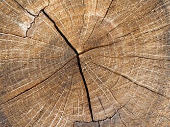 Výhody drevených hál